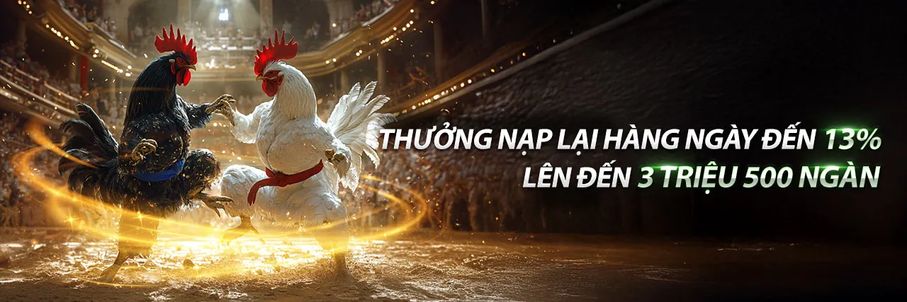 Đấu trường đá gà trực tuyến f8bey đầy kịch tính
